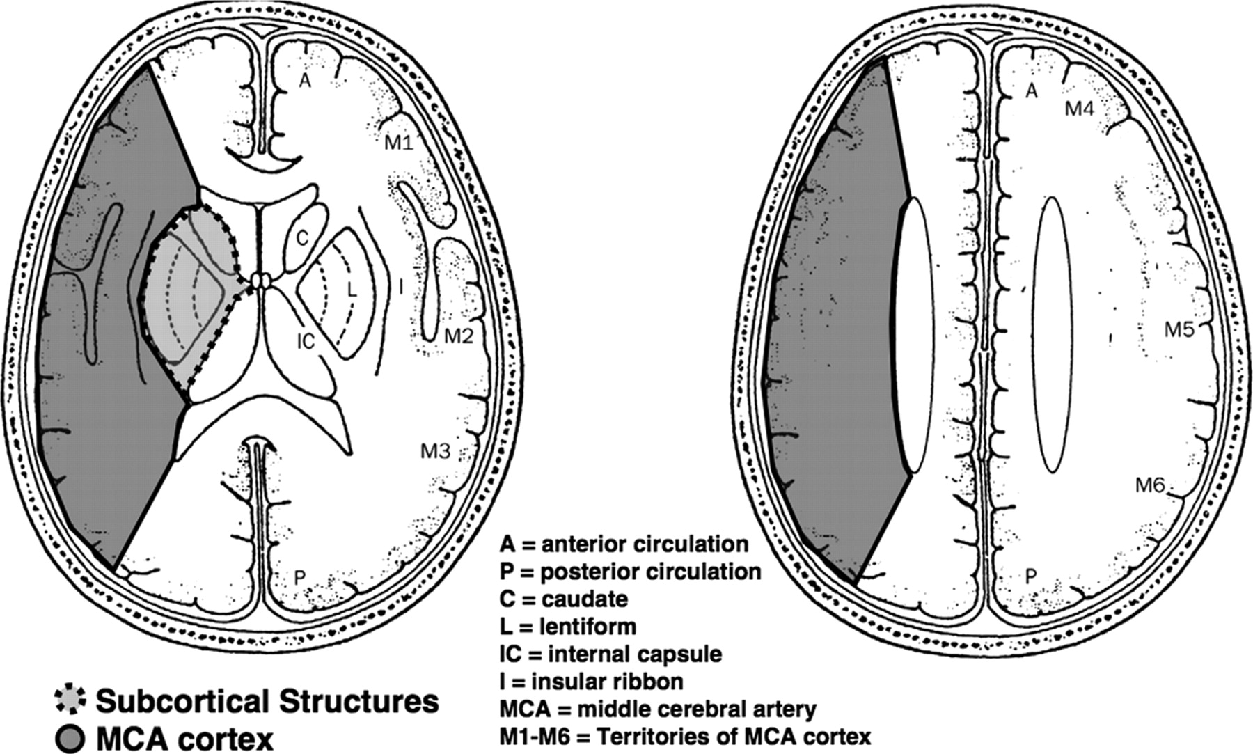 ASPECTS Cross Section