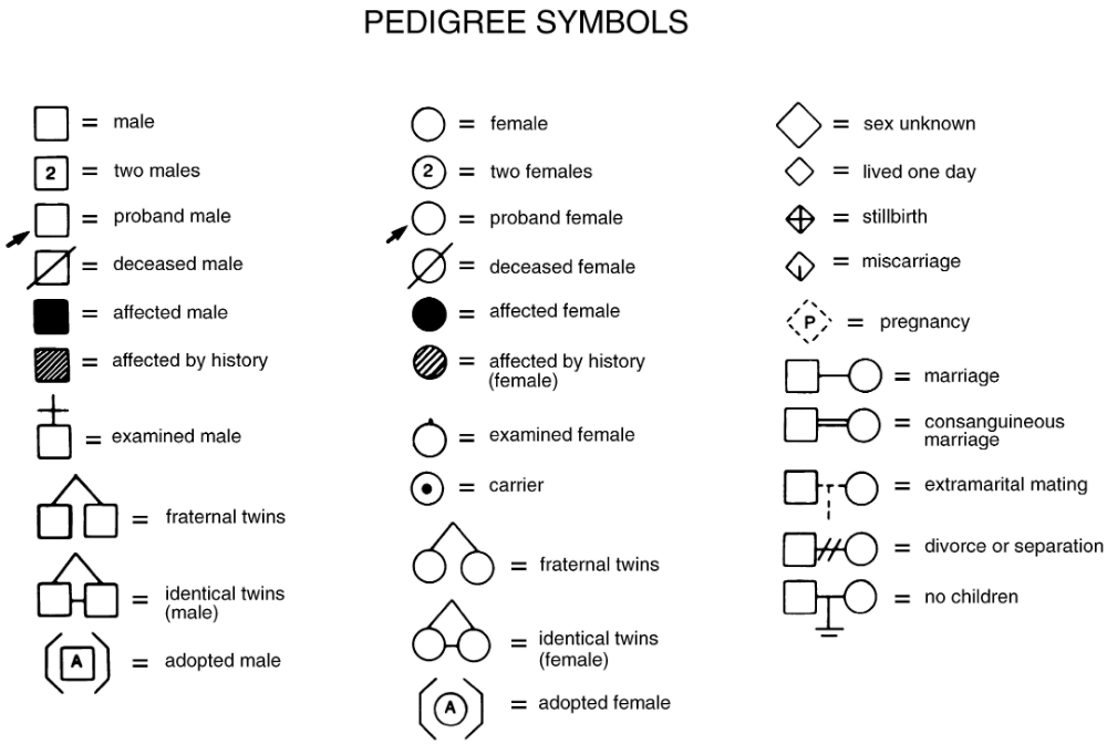 Family Tree Example