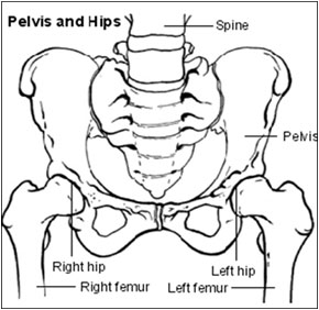 Femoral Neck Fracture