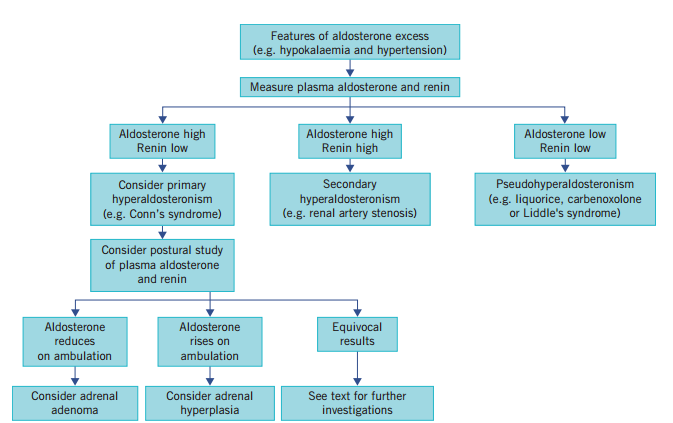 Hyperaldosteronism Diagram